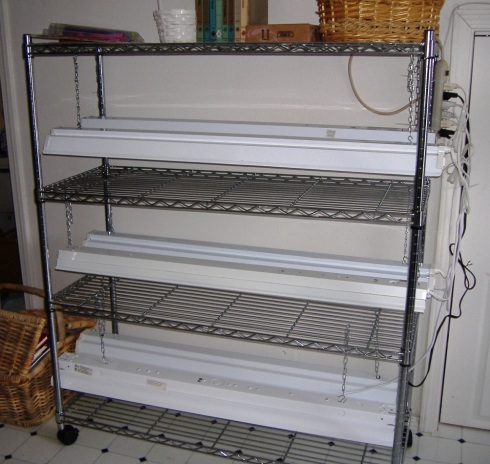 Completed Seed Starting Shelves